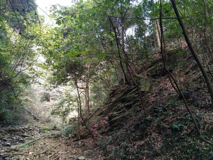 小猫钓鱼正版下载中文版